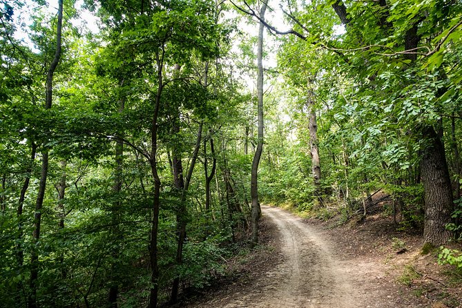 Panoramic hike around Budapest - Unique Features of the Forest Trails and Fairy Rock