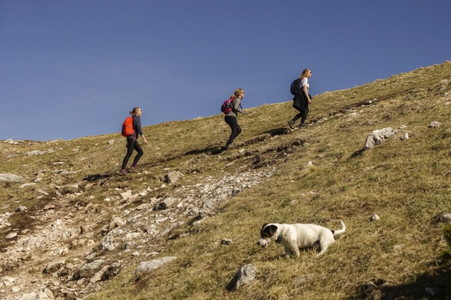 Panoramic Hike in Julian Alps - The Route to the Top of Debela Pe