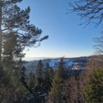 Panoramic Peaks  Oslos Best Fjord Views Hike - The Vettakollen Viewpoint and Scenic Rest Stops