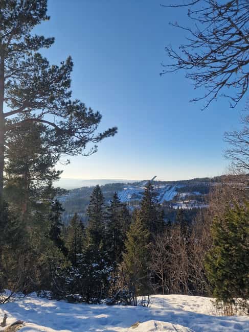 Panoramic Peaks  Oslos Best Fjord Views Hike - The Vettakollen Viewpoint and Scenic Rest Stops