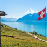 Panoramic Wine Tour From Montreux - Explore the UNESCO-Listed Lavaux Wine Terraces with a Guided Tour