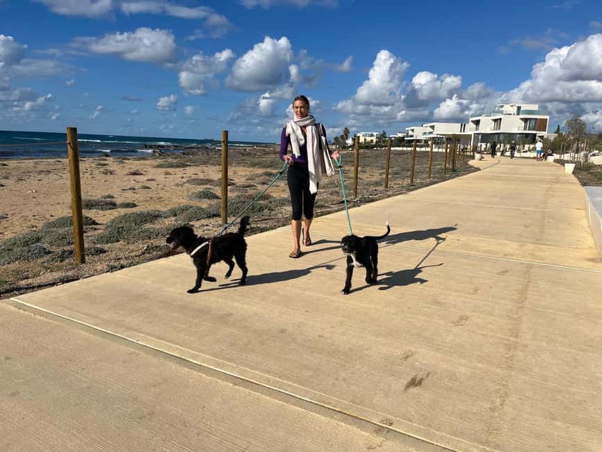Paphos: Lighthouse Area Beach Walk with Rescue Dogs - The Scenic Paphos Lighthouse Path