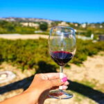 Paphos: Local Wineries Tour with Wine Tastings - Visiting Sterna Winery and Its Wine Tastings