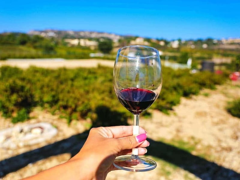 Paphos: Local Wineries Tour with Wine Tastings - Visiting Sterna Winery and Its Wine Tastings