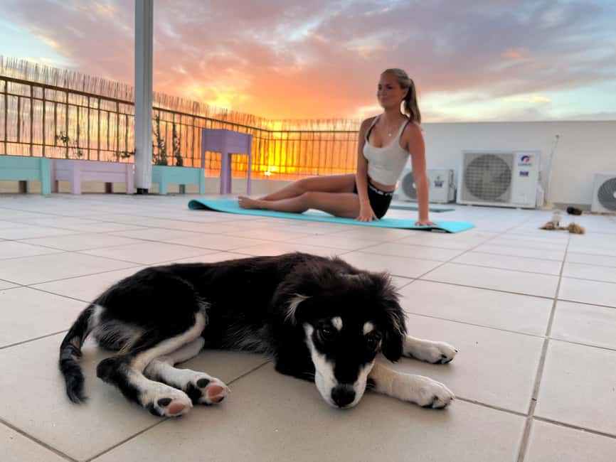 Paphos (Peyia): Mindful Yoga with Rescue Puppies - Post-yoga cuddles, photos, and adoption info