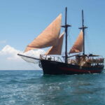Paphos: Pirate Ship Cruise on Jolly Roger - Onboard Activities and Pirate Show Highlights