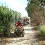 Paphos: Quad and Buggy Afternoon Safari to Adonis Waterfalls - Exploring the Off-Road Route and Scenic Stops
