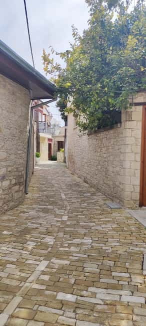 Paphos: Troodos Mountains Villages Tour with Wine Tasting - Key Points