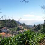 Paradise Valley half-day morning walk. - Learning About Madeira’s Agriculture and Terraces