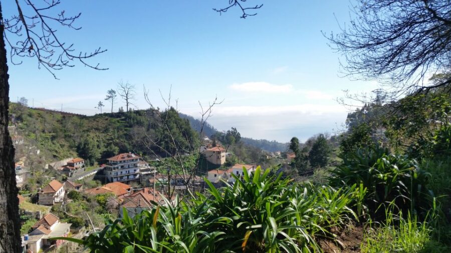 Paradise Valley half-day morning walk. - Learning About Madeira’s Agriculture and Terraces