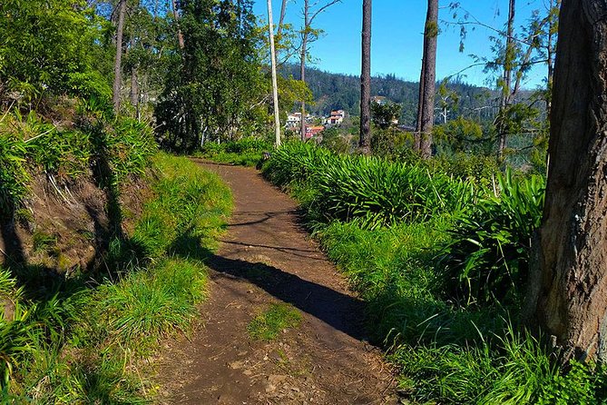Paradise Valley - Levada Walk - The Unique History of Madeira’s Irrigation Canals