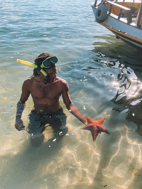 Paraty: A Private Speedboat Experience in Mamangua - Discover the Mamangua Nature Reserve and Tropical Fjord