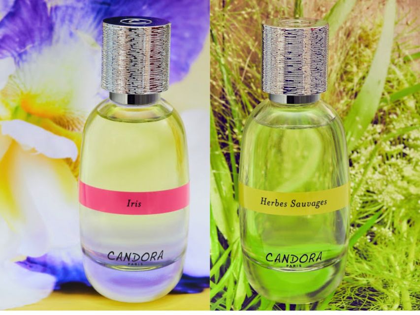 Paris: 2-Hour Perfume Creation Workshop - The Location and Meeting Point for the Workshop