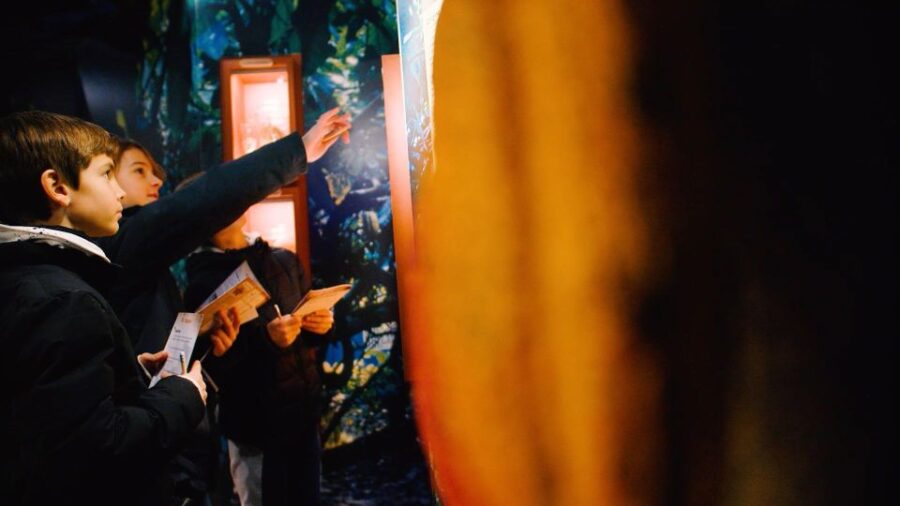 Paris: Entrance Ticket to the Chocolate Museum - Exploring Over 1,000 Chocolate-Related Artifacts in Paris