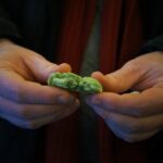 Paris Food Tour - Key Points