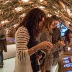 Paris: French Wine Experience in Parisian Cellar - The Guided Wine Tasting with a Sommelier