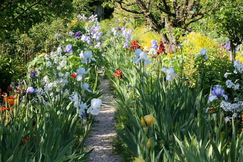 Paris: Giverny Gardens Day Trip with Professional Tour Guide - Exploring Monet’s House and Studio