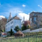 Paris: Hidden Gems of Montmartre Walking Tour - Witness the Last Remaining Windmills, Including Moulin de la Galette