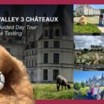 Paris: Loire Valley Day Tour - Exploring Orléans: First Stop in the Loire Valley