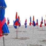 Paris: Normandy with Honfleur, Deauville, Trouville 12 hrs - Logistics: Pickup, Transport, and Flexibility