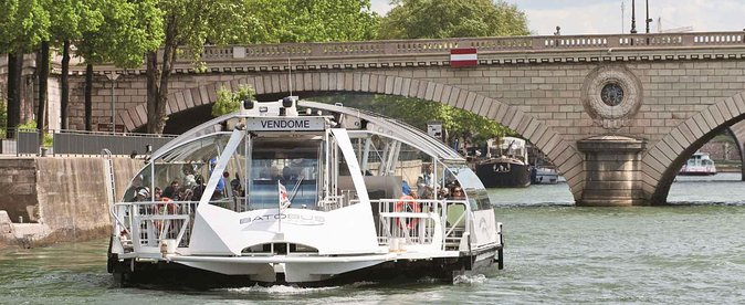 Paris Private Day Tour & Seine Cruise for Kids and Families - Discover the Idyllic Ile de la Cité and Notre-Dame