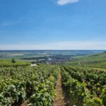 Paris: Private Epernay Trip with Champagne Vineyard Tastings - Starting Point and Comfortable Transportation