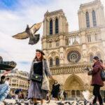 Paris: Private Full Day Tour-Louvre Sainte Chapelle Tickets - Starting Point and Meeting Details