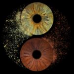 Paris: Professional Iris Photography with a Framed Print - What Makes the Iris Photography Stand Out in Paris?