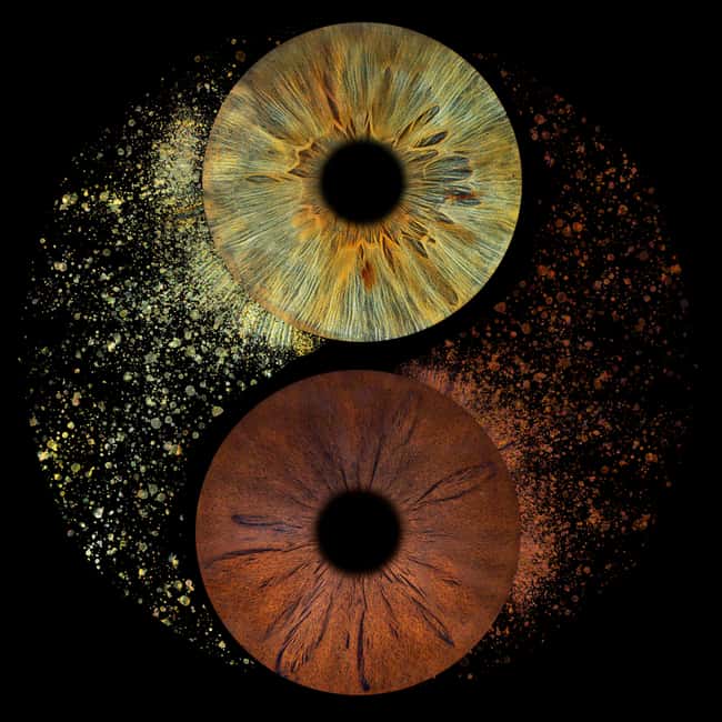 Paris: Professional Iris Photography with a Framed Print - What Makes the Iris Photography Stand Out in Paris?