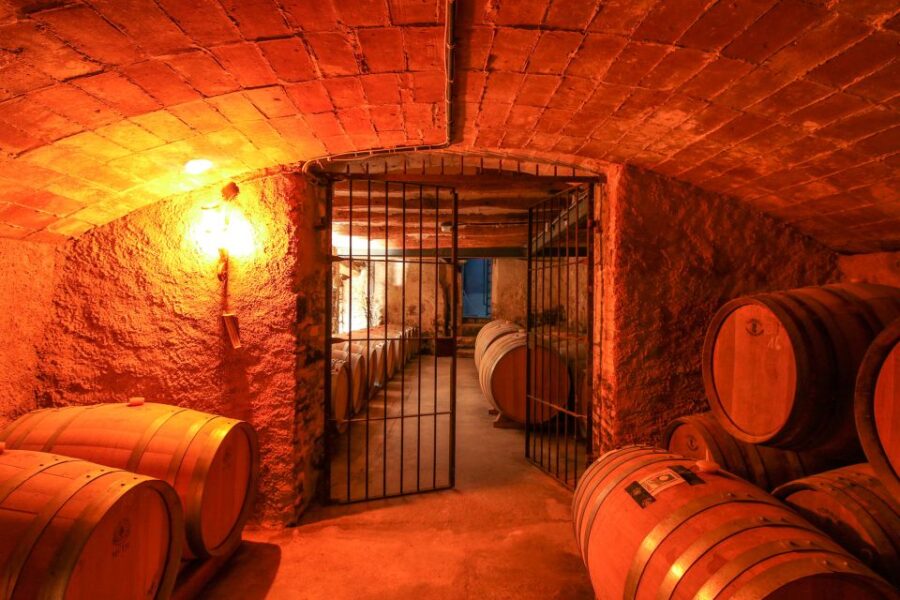 Paris: Two Reims Champagne Vineyards with Tastings and Lunch - Starting Point at Gare de l’Est for a Convenient Departure