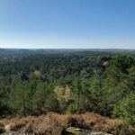 Paris VIP: Versailles & Fontainebleau Chauffeur Driven 8hrs - Fontainebleau Castle: A Historic Residence with Scenic Surroundings