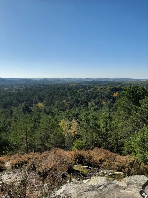 Paris VIP: Versailles & Fontainebleau Chauffeur Driven 8hrs - Fontainebleau Castle: A Historic Residence with Scenic Surroundings