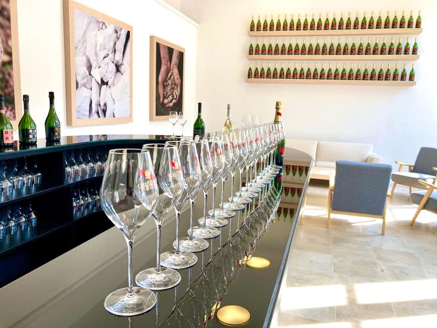 Paris Wine Day Tours all inclusive Champagne tour from Paris - Visiting a Family-Owned Vineyard for Authentic Tradition