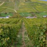 Paris Wine Day Tours exclusive wine tour in the Sancerre area - Starting Point and Departure Time in Paris