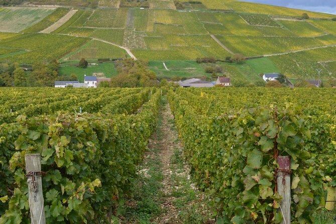 Paris Wine Day Tours exclusive wine tour in the Sancerre area - Starting Point and Departure Time in Paris