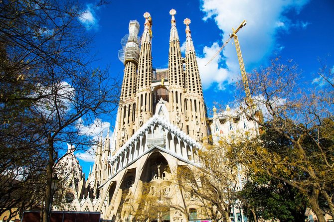 Park Güell and Sagrada Familia Private Tour - Discovering Park Güell’s Art and Views