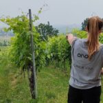 Parma Hills and Wine Tasting with Food Platter - Parma Hills Vineyard: A Producer Committed to Quality and Sustainability