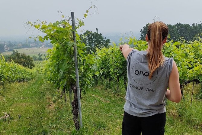 Parma Hills and Wine Tasting with Food Platter - Parma Hills Vineyard: A Producer Committed to Quality and Sustainability