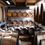 Parmesan, Balsamic Vinegar and Ferrari with Lunch - Exploring the Parmigiano Reggiano Dairy and Tasting Experience