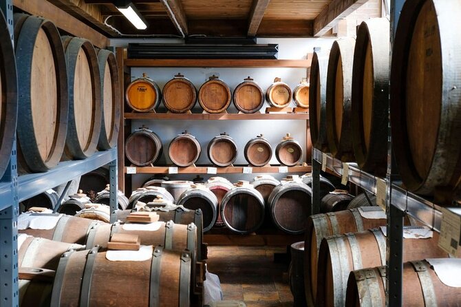 Parmesan, Balsamic Vinegar and Ferrari with Lunch - Exploring the Parmigiano Reggiano Dairy and Tasting Experience