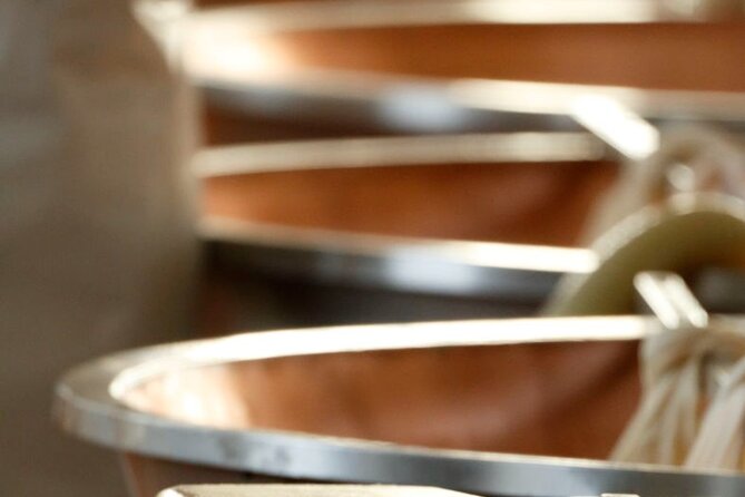 Parmigiano Cheese Factory Visit and Tasting - Inside the Parmigiano Reggiano Production Process