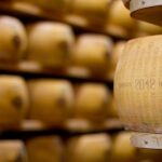 Parmigiano Reggiano & Aceto Balsamico Tradizionale - Discovering the Secrets of Traditional Balsamic Vinegar in Reggio Emilia or Modena