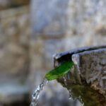 Parnitha (Parnis) / Skipiza & Mola loop - Hike near Athens - Starting Point and Transportation Logistics from Athens