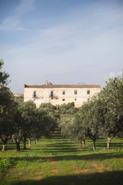 Partinico: Sicilian Olive Grove Walk & Homemade Aperitif - Inside the Historic Sicilian Baglio