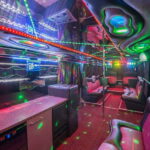 Party Bus & Dancer for 3 hours in Vilnius Private tour - Onboard Entertainment: Music, Lights, and a Striking Dancer