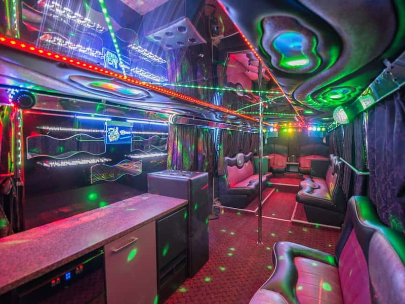 Party Bus & Dancer for 3 hours in Vilnius Private tour - Onboard Entertainment: Music, Lights, and a Striking Dancer