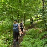Parz Lake to Goshavank: Forest Hike|Wild Mountain Tea Ritual - Walking Through the Forests of Dilijan National Park
