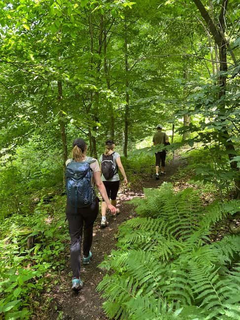 Parz Lake to Goshavank: Forest Hike|Wild Mountain Tea Ritual - Walking Through the Forests of Dilijan National Park