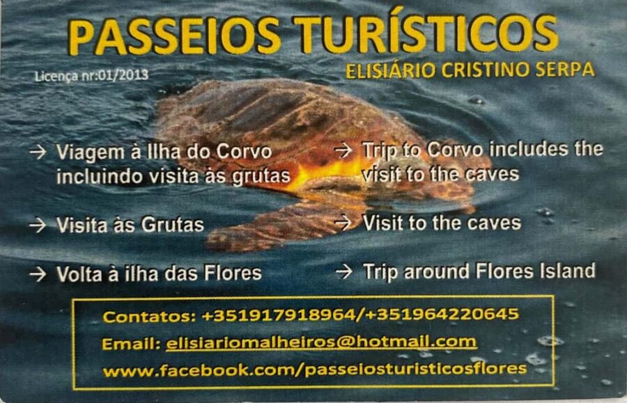Passeios Turísticos: Trip to Corvo by Boat - Visiting the Caves Along Flores Northeast Coast