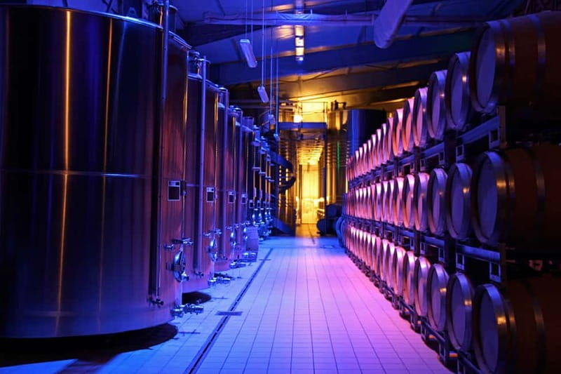 Passy-Grigny: Chocolate and Champagne Tasting Tour - The Origins and Significance of Passy-Grigny in Champagne Production